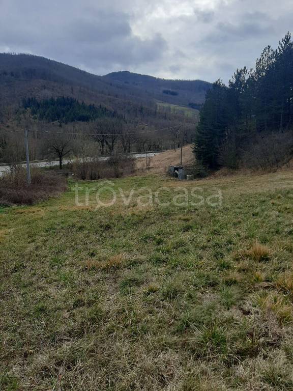 terreno agricolo in vendita ad Apecchio in zona Pian di Molino