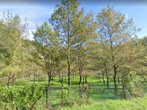 terreno agricolo in vendita a Borgo Pace
