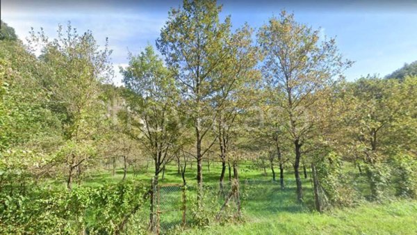 terreno agricolo in vendita a Borgo Pace