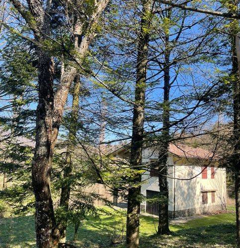 casa indipendente in vendita a Borgo Pace