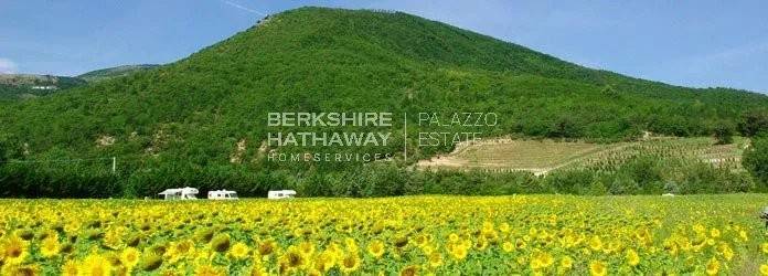 negozio in vendita a Cagli