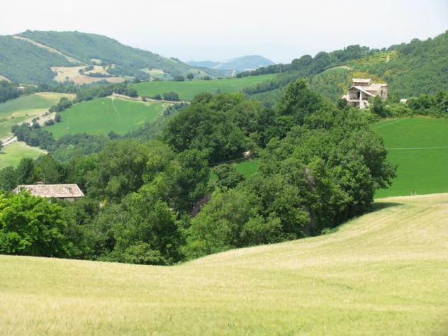 terreno agricolo in vendita a Cagli