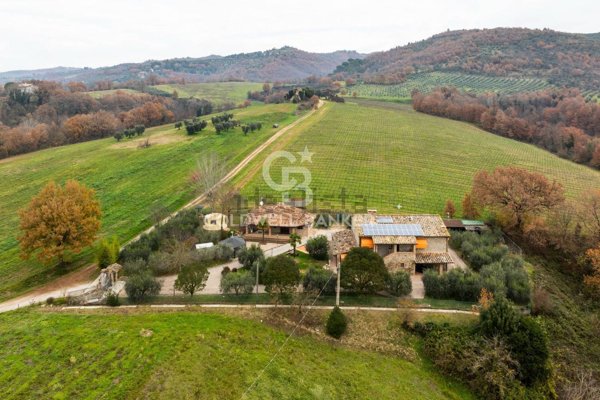 pentavano in vendita a Cagli