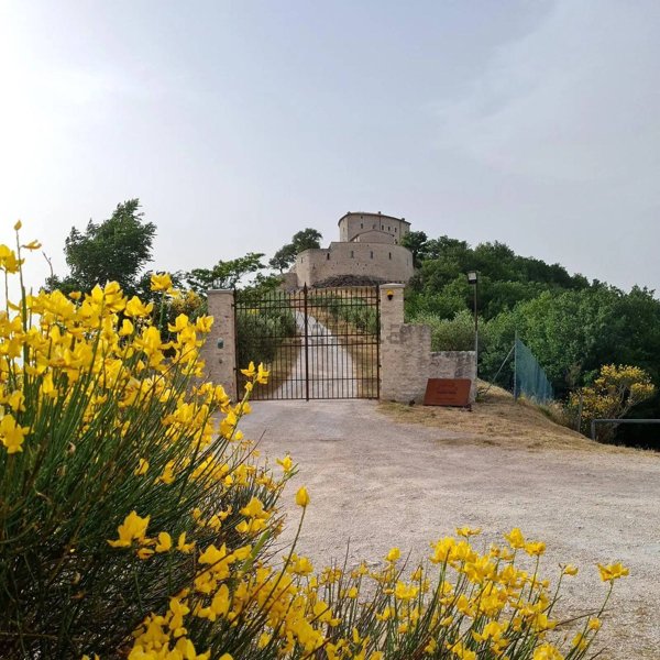 casa indipendente in vendita a Cagli