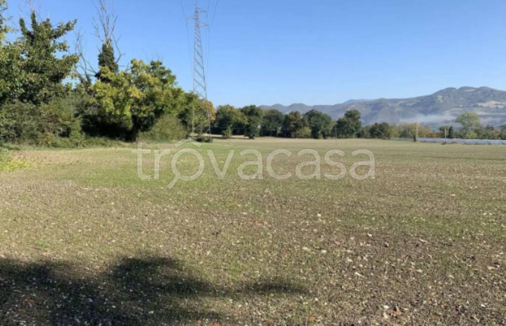 terreno agricolo in vendita a Cagli