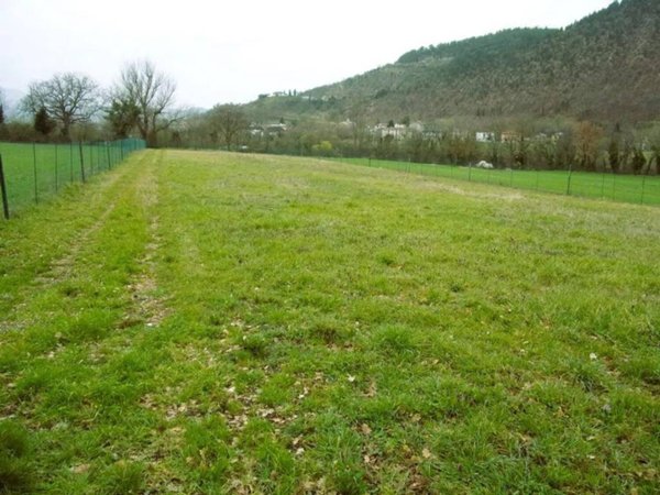 terreno agricolo in vendita a Cagli