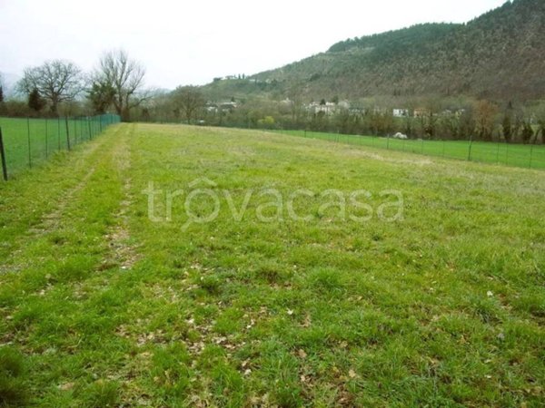 terreno agricolo in vendita a Cagli