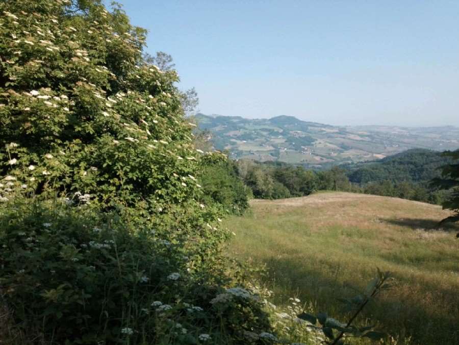 casa indipendente in vendita a Cagli in zona Pianello