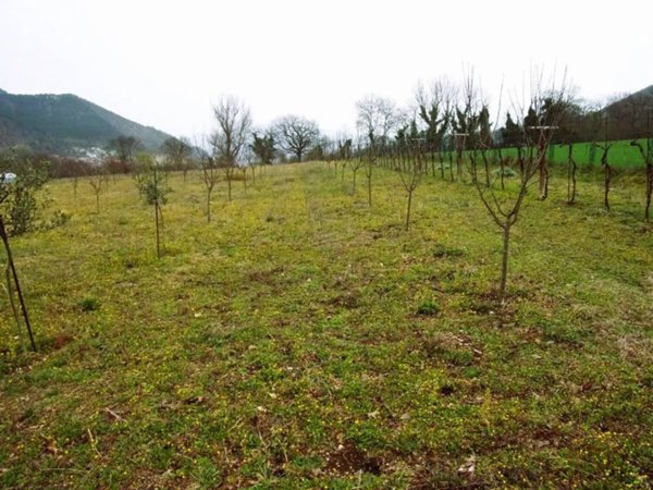terreno agricolo in vendita a Cagli