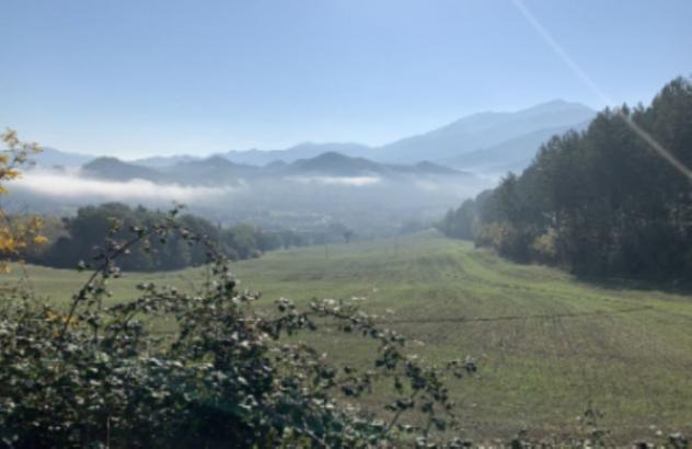 terreno agricolo in vendita a Cagli