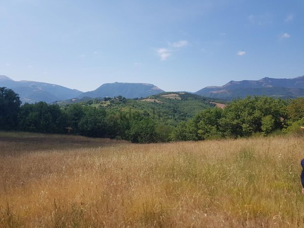 terreno agricolo in vendita a Cagli