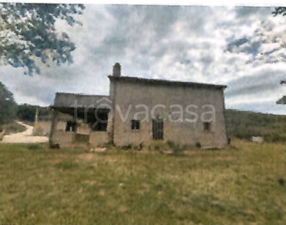 azienda agricola in vendita a Cagli