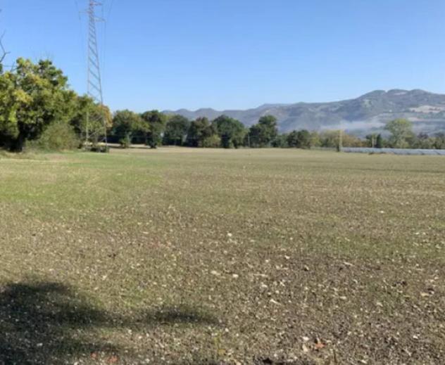 terreno agricolo in vendita a Cagli