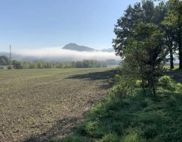 terreno agricolo in vendita a Cagli