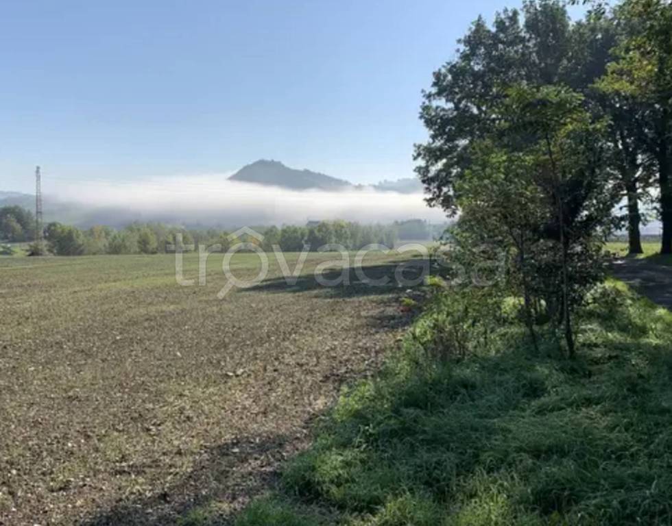terreno agricolo in vendita a Cagli