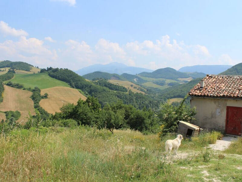 casa indipendente in vendita a Cagli