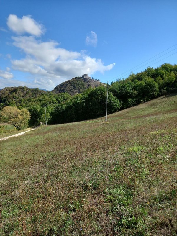 terreno agricolo in vendita a Cagli