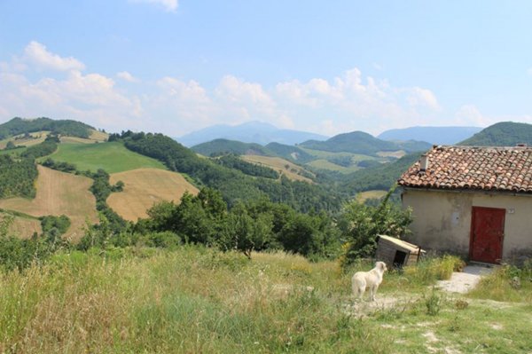 casa indipendente in vendita a Cagli