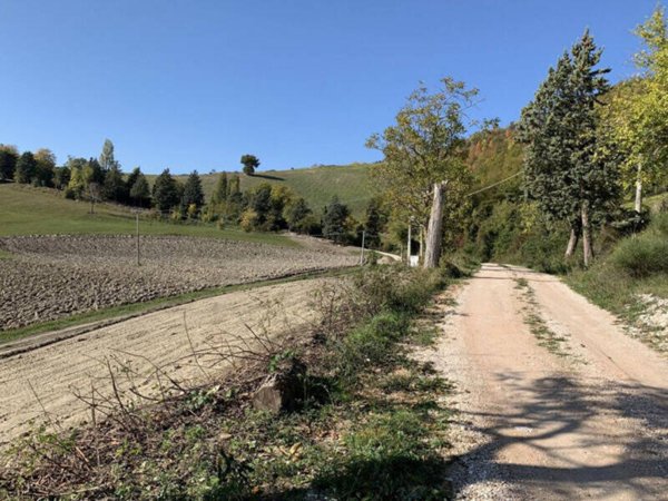terreno agricolo in vendita a Cagli