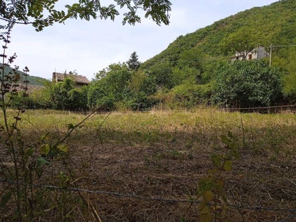 terreno agricolo in vendita a Cantiano in zona Chiaserna