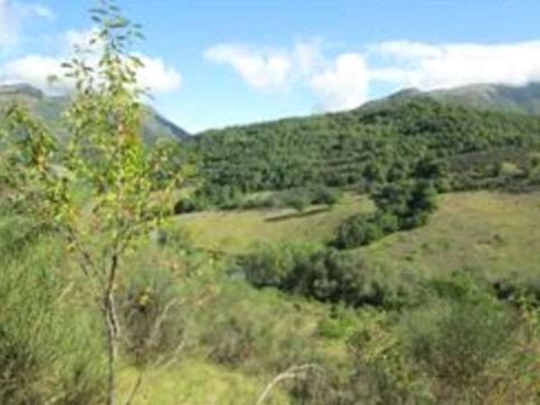 terreno agricolo in vendita a Cantiano in zona San Rocco