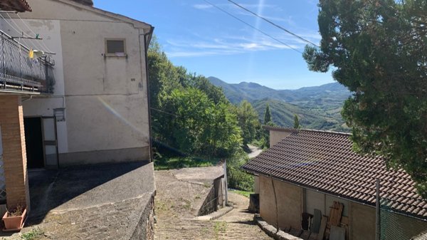 esavano in vendita a Cantiano