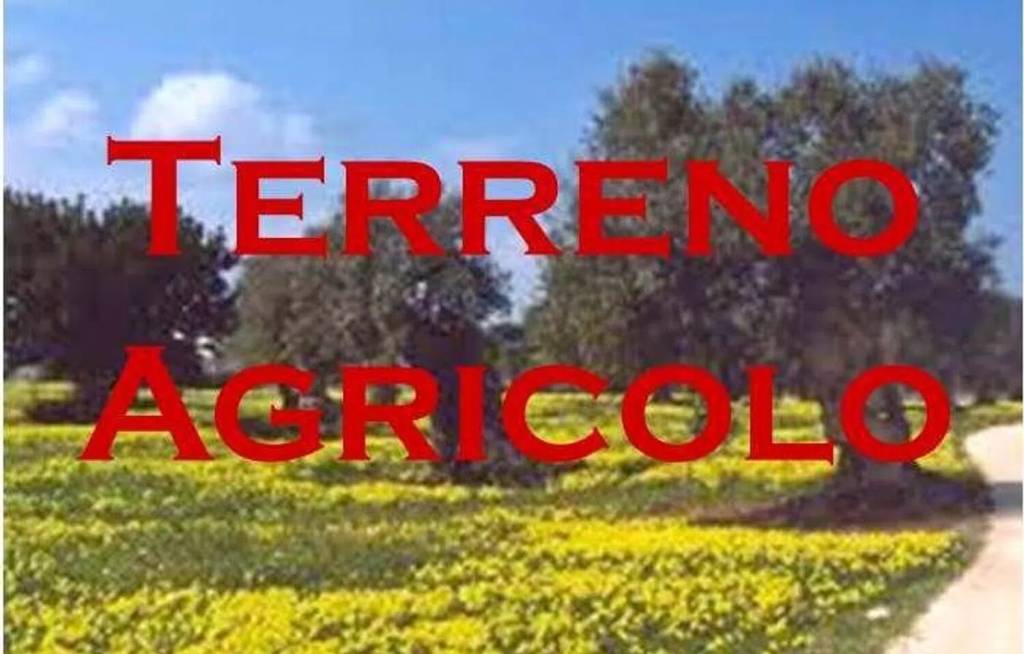 terreno agricolo in vendita a Cantiano