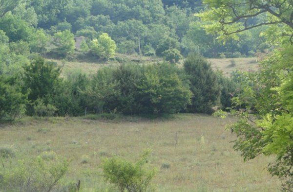 casa indipendente in vendita a Cantiano