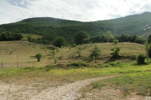 terreno agricolo in vendita a Cantiano