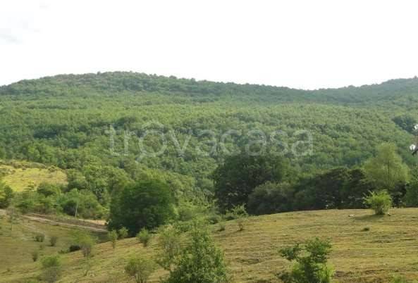 monolocale in vendita a Cantiano