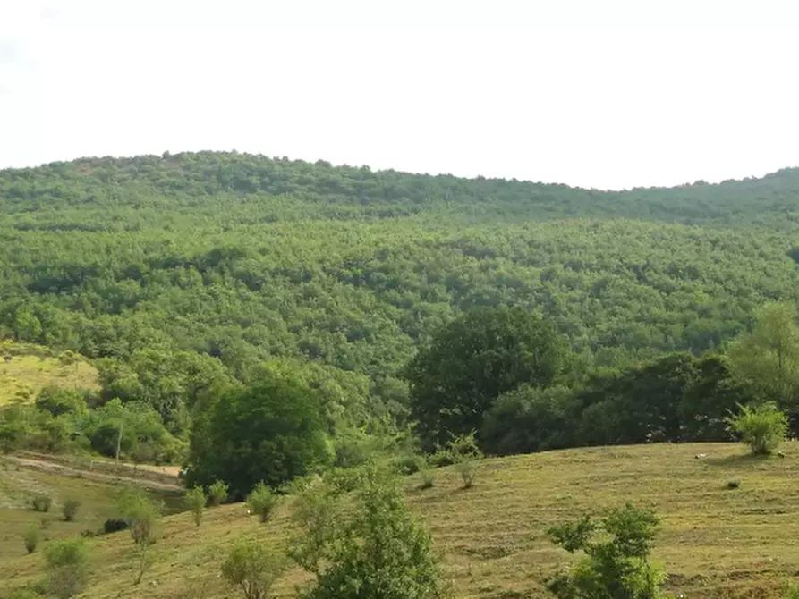 terreno agricolo in vendita a Cantiano