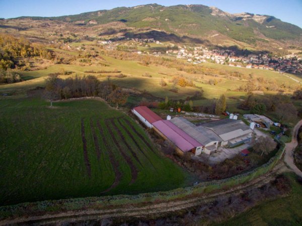 azienda agricola in vendita a Carpegna