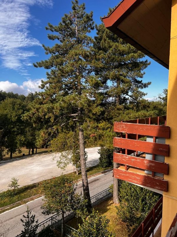 appartamento in vendita a Carpegna