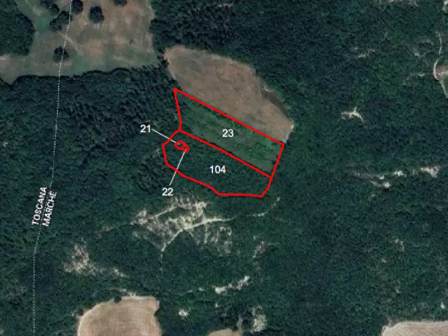 terreno agricolo in vendita a Carpegna