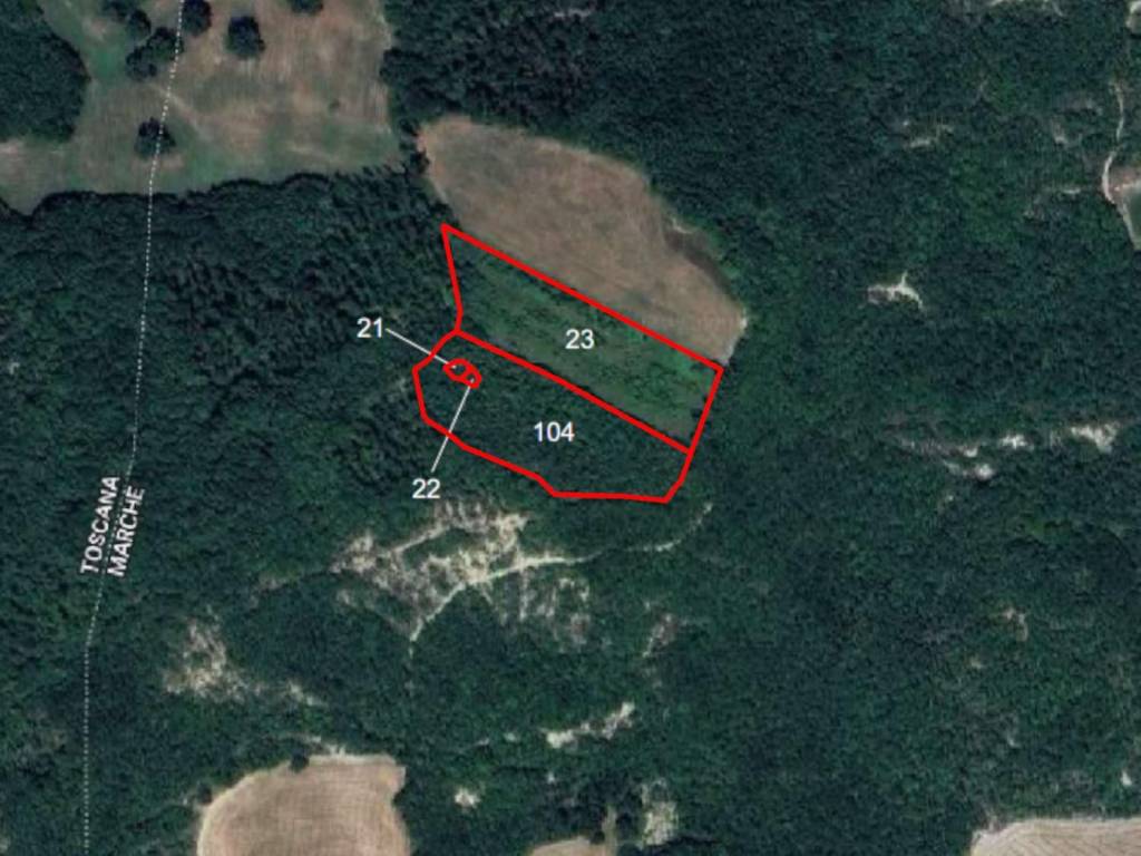 terreno agricolo in vendita a Carpegna