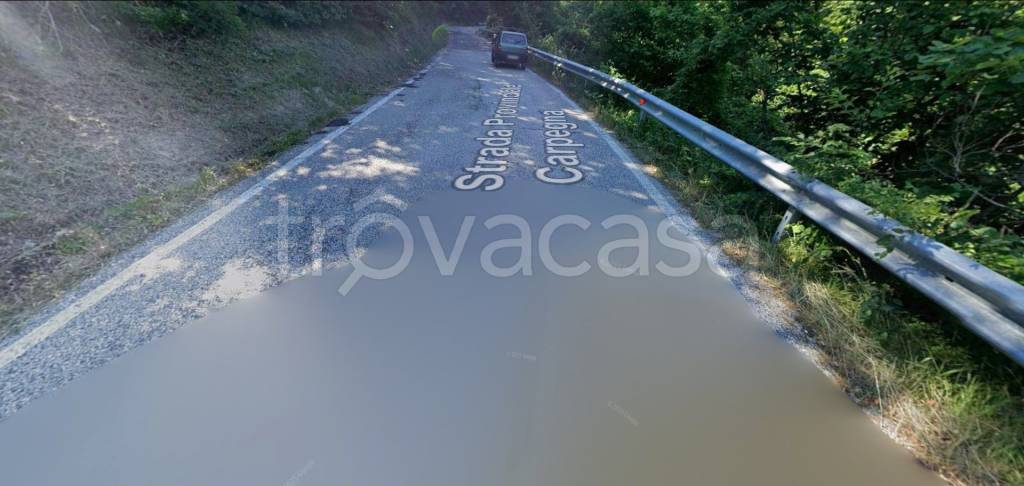 terreno agricolo in vendita a Carpegna