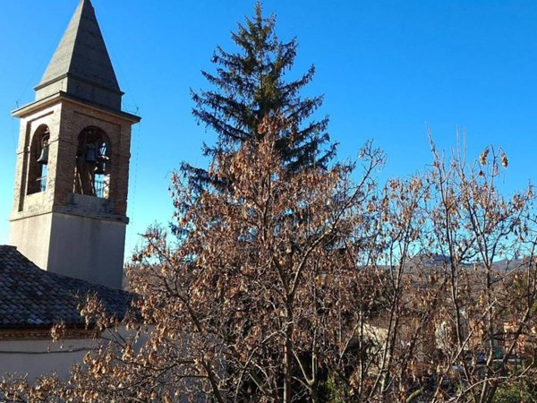 appartamento in vendita a Carpegna