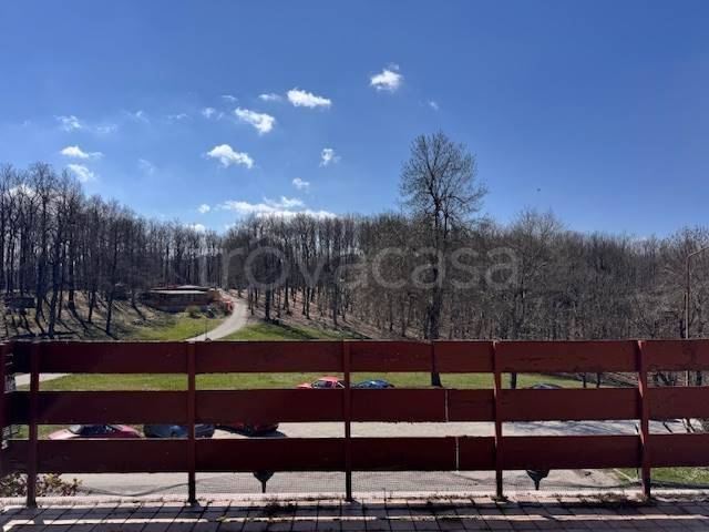 appartamento in vendita a Carpegna