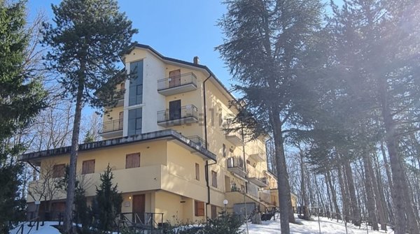 appartamento in vendita a Carpegna