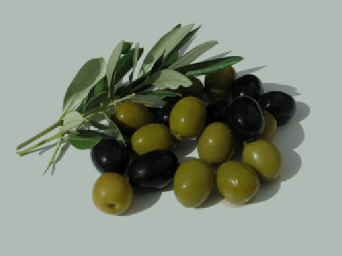 negozio in vendita a Cartoceto