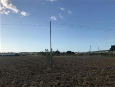 negozio in vendita a Cartoceto in zona Lucrezia