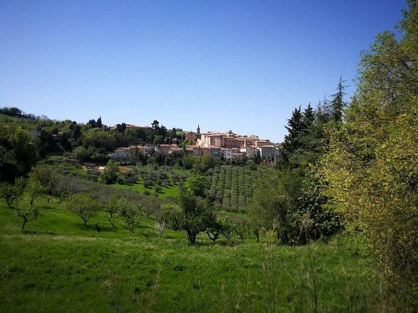 casa indipendente in vendita a Cartoceto