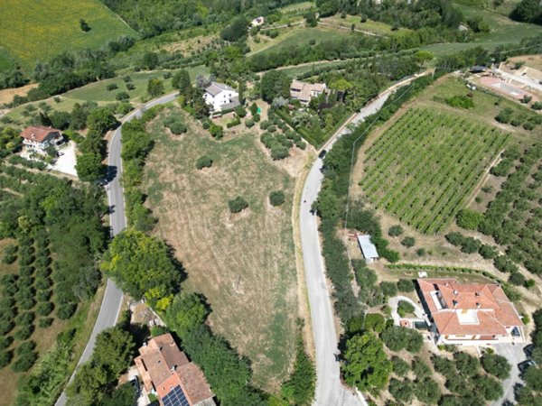 terreno agricolo in vendita a Cartoceto