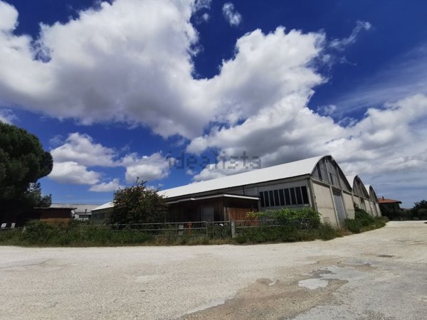 capannone in vendita a Cartoceto