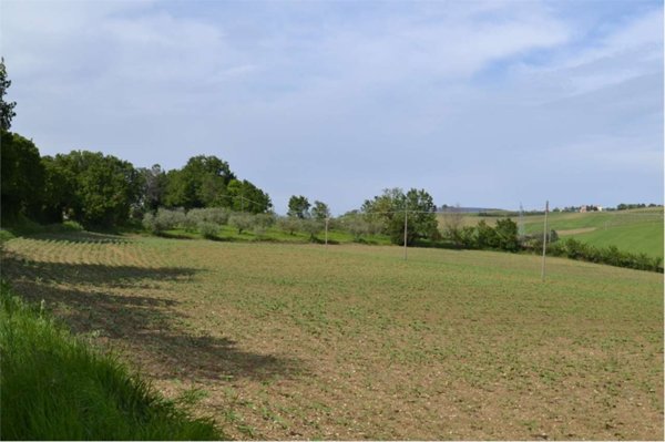 terreno agricolo in vendita a Cartoceto