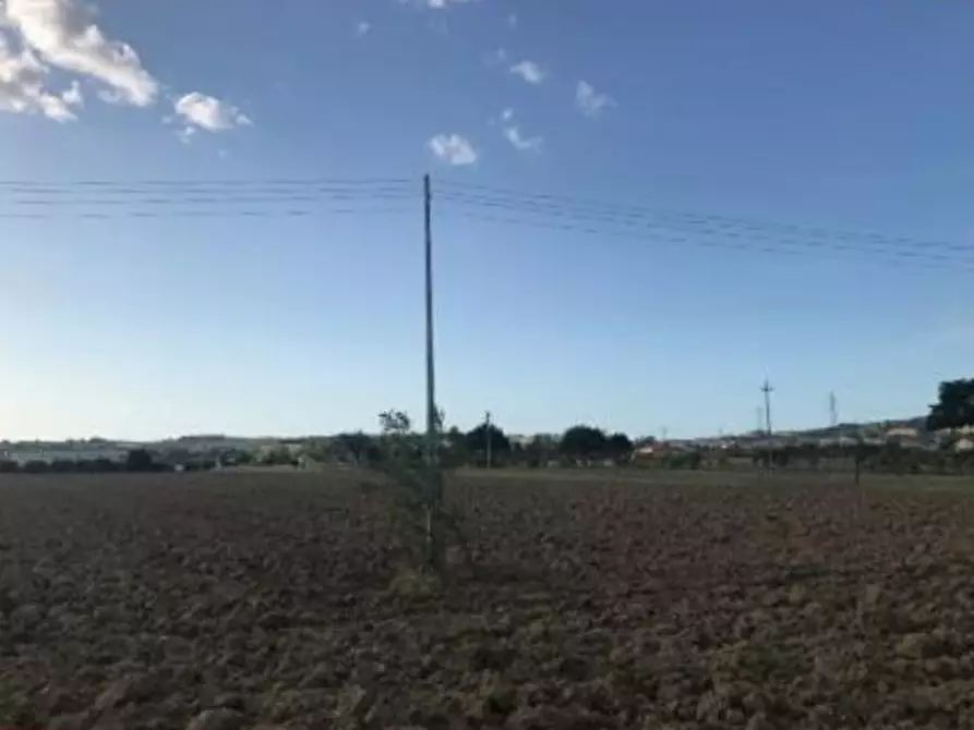 negozio in vendita a Cartoceto in zona Lucrezia