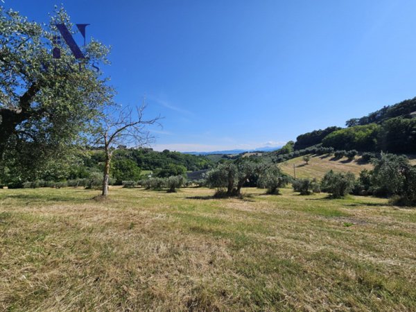 casa indipendente in vendita a Cartoceto