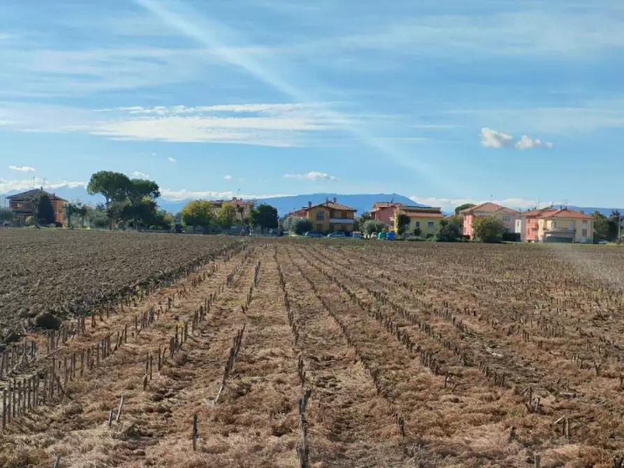terreno agricolo in vendita a Cartoceto