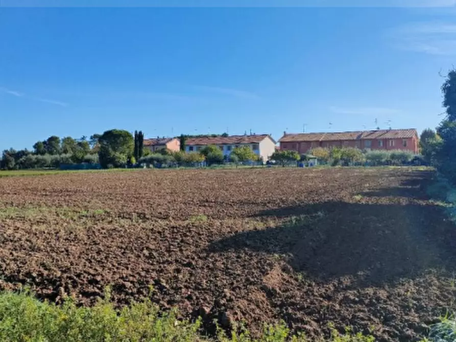 terreno agricolo in vendita a Cartoceto
