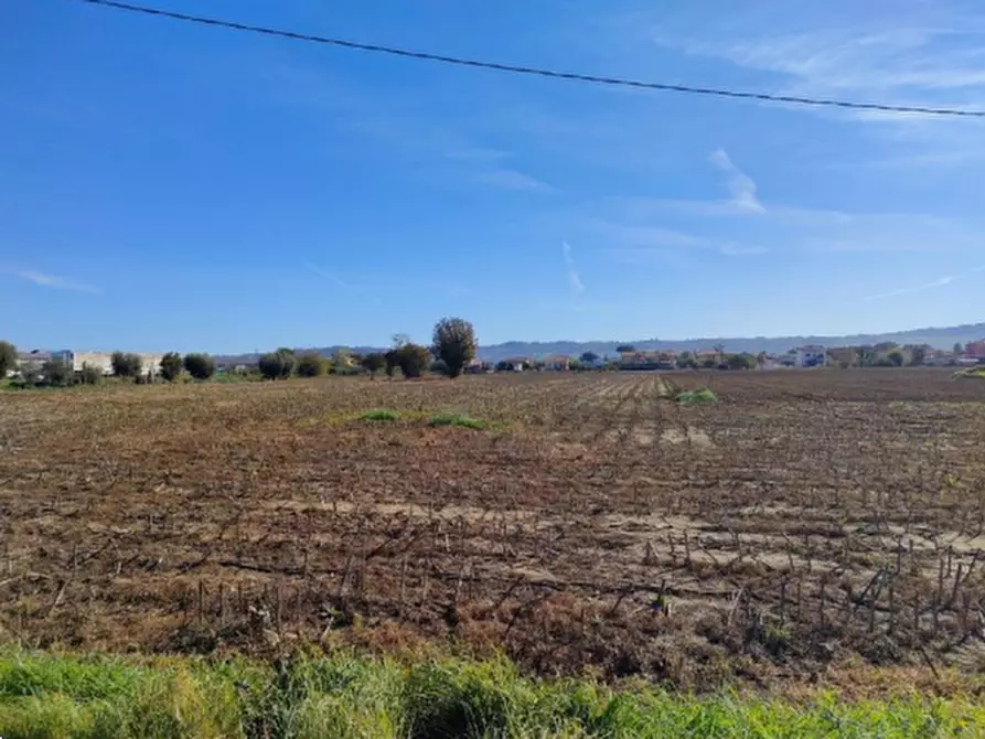 terreno agricolo in vendita a Cartoceto